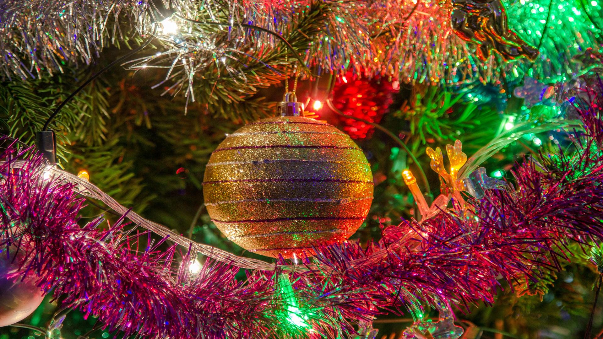 Round the world christmas holiday